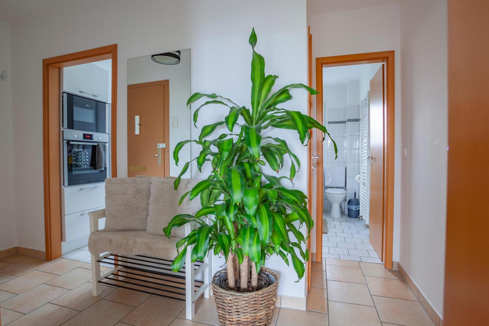 Exclusive 2-Room-City-Apartment - Contactless Check-In Hannover Exteriör bild